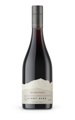 Pinot Nero